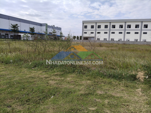 Đất tmdv 6869m2, mt50m, 103 tỷ, lô góc, kcn yên phong, bắc ninh.