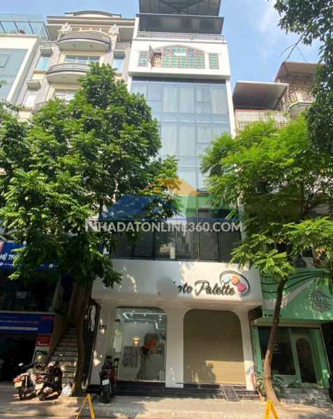 Siêu phẩm hiếm, bán nhà mặt phố đào tấn, 7 tầng thang máy, kinh doanh đỉnh, chỉ 34 tỷ