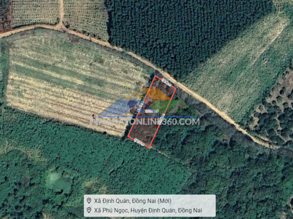 K1922 ✨ đất phú ngọc đồng nai, shr, vuông, hxh, 19.5x53m, 0.8 tỷ