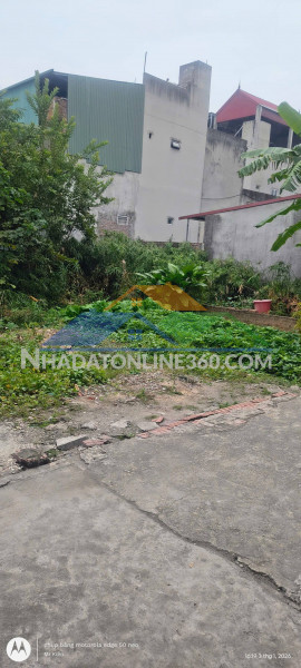 Cần bán đất ruộng 1000m2, mt25m, có nhà lán tạm, công trình phụ, 1.65 tỷ, bắc hồng, đông anh.