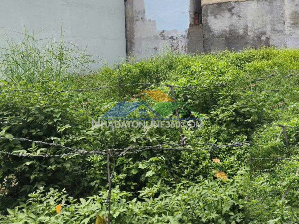 K1934 ✨✨ giá rẻ! đất mặt tiền thới an 4 q12, shr, vuông, 6.4x14m, 5.x tỷ x nhỏ