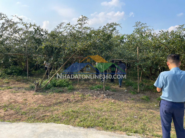 Đất nền chũ bắc ninh giá 630 triệu  450m2  khu dân cư hiện hữu...