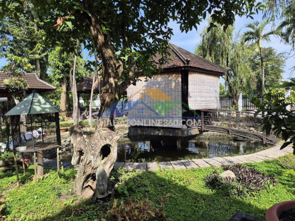 Siêu phẩm biệt thự gỗ sân vườn – 2 mặt tiền nhựa nhị bình, hóc môn