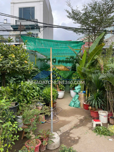 Bán đất mặt đường hoàng minh thảo - 57m - đang cho thuê - vị trí vip