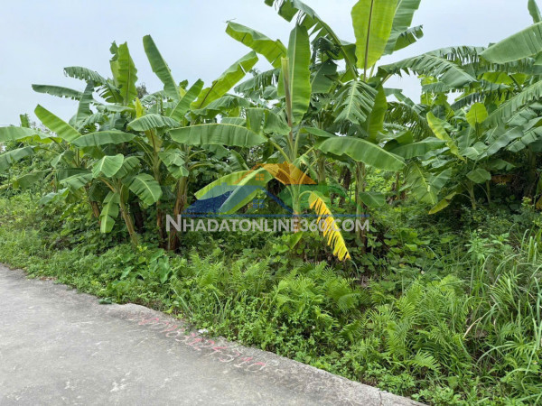 Giá 1x triệu/m² – lô đất tuyến 2 trung nghĩa, diện tích lớn, đường ô tô tránh  zalo 0567 222 555