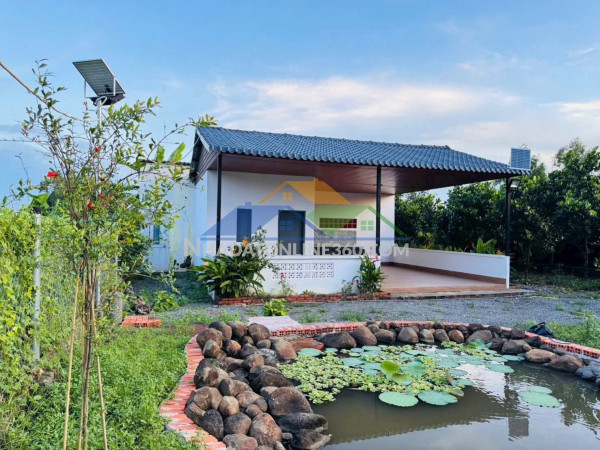 Mặt tiền đường nhựa 6m xe hơi ???? khu bàn cơ thông tứ phía
♦️ dt : 1.373 m2 - ngang 20.2 x dài 68 ( phân lô kinh doanh được 4 lô đất : 5x68‎ = 340m2 )