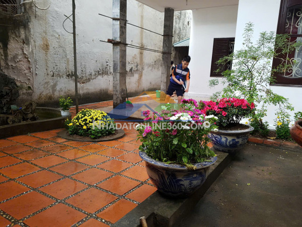 Bán cả 3 lô đất kim ngưu sát nhau, 2 mặt ngõ, mỗi lô 64.3m2, 8 tỷ/lô