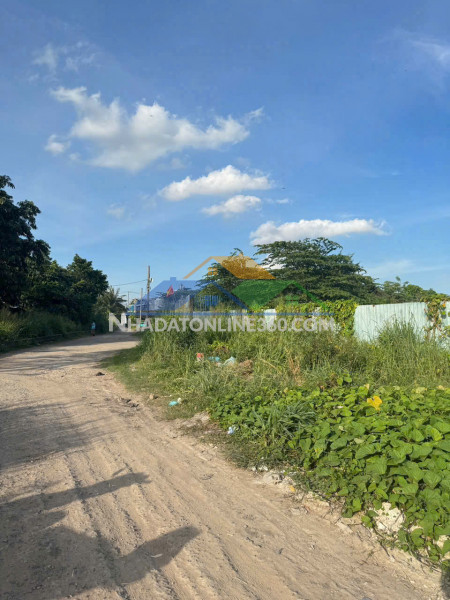 Siêu phẩm 2 mặt tiền – đất thổ cư (18.7x50) hiếm bình mỹ, củ chi