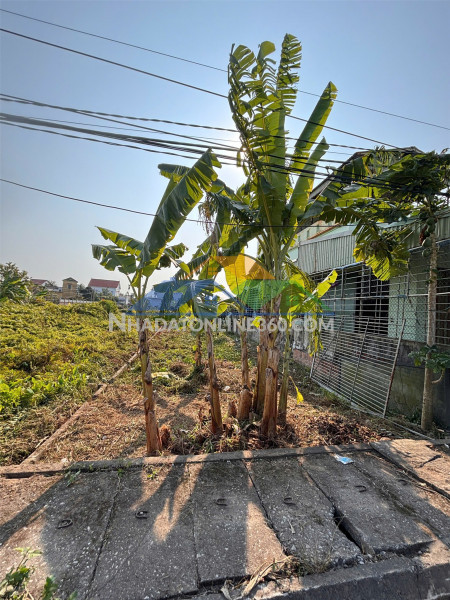 18,x tr/m² – đất trục đường quyết tiến, hợp đức, đồ sơn  quỹ đất hiếm – phù hợp đầu tư dòng tiền  zalo 0567 222 555