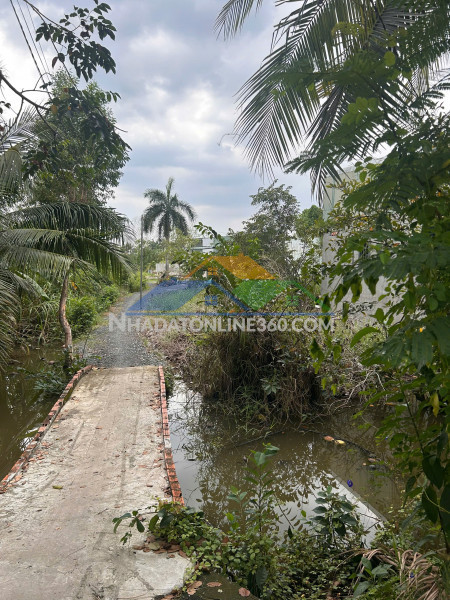 Cho thuê căn hộ view cầu thuận phước – căn góc, full nội...