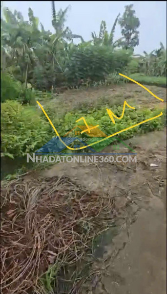 Chính chủ bán đất sẵn sổ mặt tiền oto tránh gần sân bay gia bình – bắc ninh