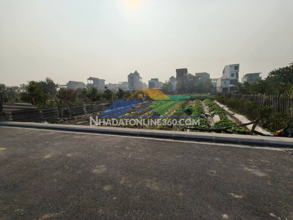 Đất ruộng vân nội 264m2, mt10m, lúa nước, 950tr, ngay đấu giá, đông anh.