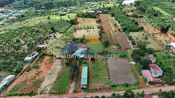 Sở hữu ngay lô đất đẹp - giá tốt - vị trí đắc địa tại tt nam ban, huyện lâm hà, lâm đồng