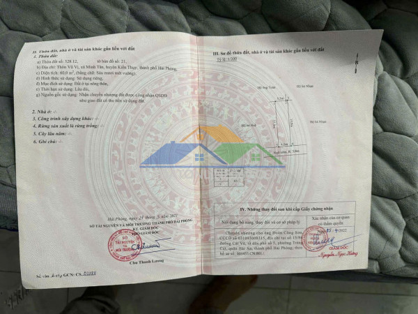 Bán lô đất vũ vị – minh tân – kiến thụy  60m², ngõ ô tô, gần chợ & ga minh tân  zalo 0567 222 555