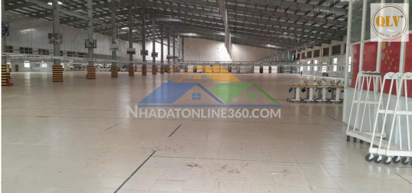 Cho thuê kho, nhà xưởng tại Phường Tân Hiệp, Thành phố Biên Hòa, Đồng Nai giá 72 Ngàn