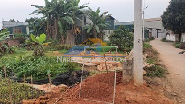 Cần thanh khoản nhanh – đất băng 2 ql2c vị trí: băng 2 quốc lộ 2c, khu đạo tú – nay thuộc khu 1, xã tam dương, tỉnh phú thọ