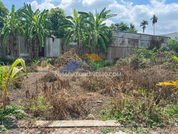 T2065 ???? đất thạnh lộc 41 q12, shr, vuông, 3.6x12.5m, 1.x tỷ