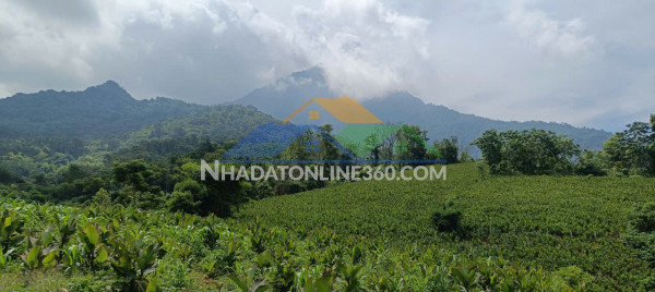 Sở hữu ngay lô đất đấu giá đẹp - giá tốt - vị trí đắc địa tại khu cát hạ, xã hát môn, tp hà nội