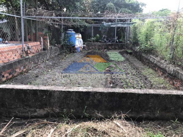 L2067 ⭐️ đất thạnh xuân 25 q12, shr, vuông, 5x13.4m, 1.x tỷ