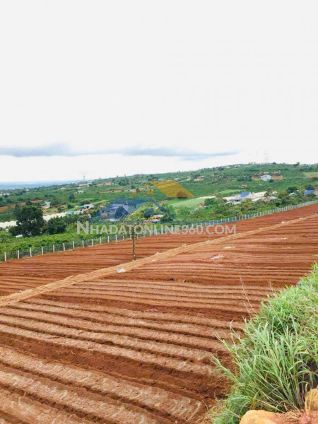 Hot !!! sở hữu ngay lô đất đẹp - giá tốt - vị trí đắc...