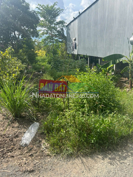 Đất đẹp – giá tốt  – chính chủ cần bán tại vĩnh an - châu thành - an giang
