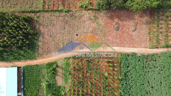 Em cần bán lô đất mặt tiền đường nhựa chính long tân láng dài 5*30*80tc