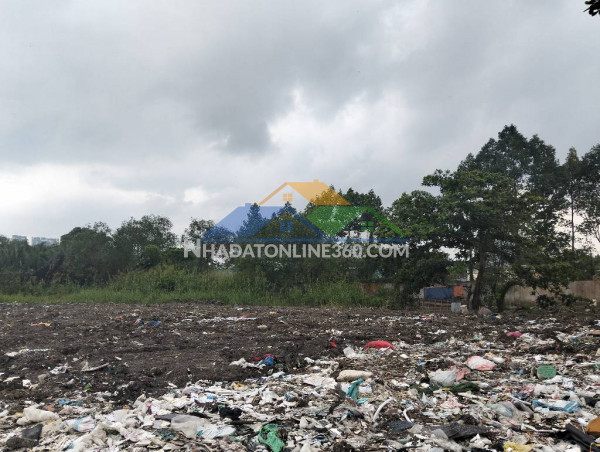 Cực hiếm! 6790m2 đất no đường  đào trí, phú thuận  q7 hcm, chỉ 160 tỷ