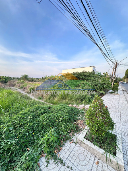 Đất  đẹp- giá tốt- cần bán nhanh đất tại thị trấn trà ôn, vĩnh long