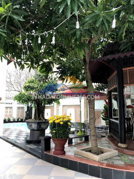 Bán biệt thự dương đình nghệ gần biển, 648m2, mặt tiền 24m, giá 167 tỷ