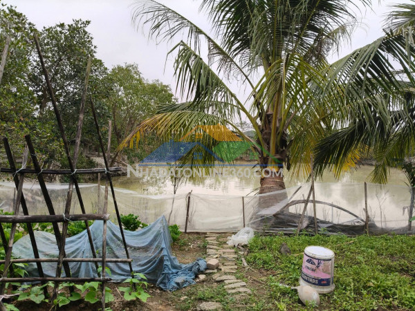 Hơn 13000m2, đất ruộng sxnn, sẵn nhà kho,.. mt150m, 6.5 tỷ, có tl, thụy lâm, đông anh.
+ đường trước đất xe container, nằm trên đường lớn.
+vị trí lô góc, xe