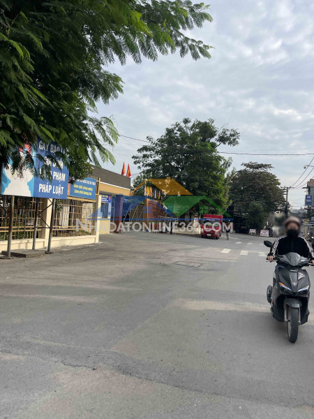 Mặt tiền kinh doanh gần  trường hoa lư – 186m² – giá chỉ 8.5 tỷ (~40tr/m²) – siêu rẻ