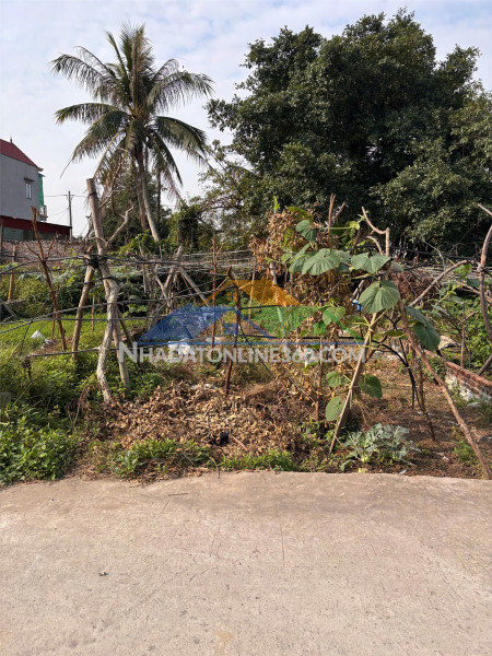 Bán đất tân thành dương kinh 98m2 – ngõ bê tông rộng – giá...