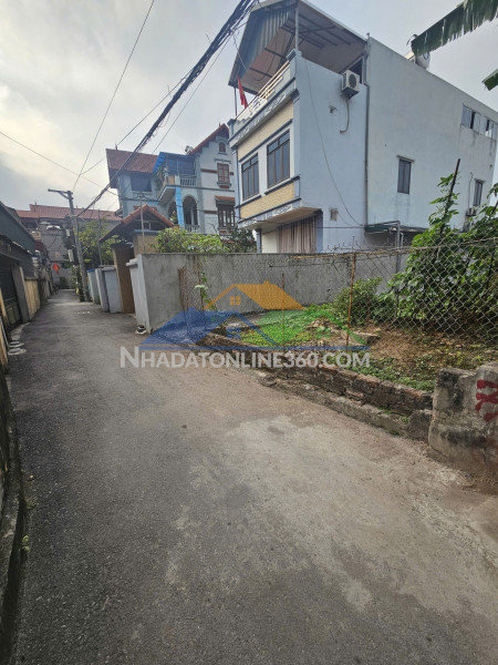 Chính chủ cần bán đất đa tốn - gia lâm, giá nhỉnh 4 tỷ, lh 0985865658