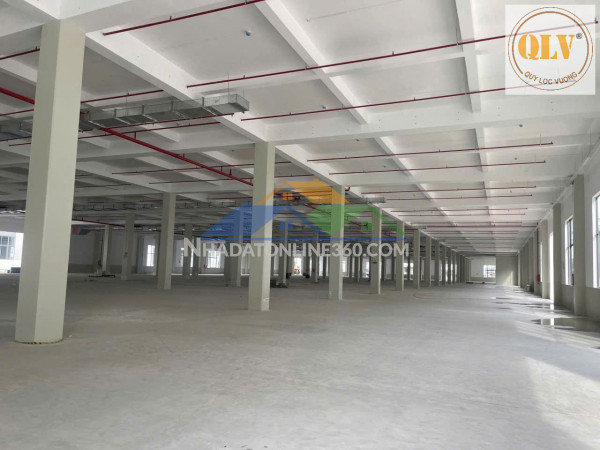CHO THUÊ NHÀ XƯỞNG – KCN BÀU BÀNG, BÌNH DƯƠNG – 52.815m²