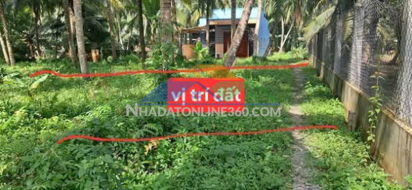 Cần thanh lý gấp lô đất thổ cư giá tốt tại giồng trôm