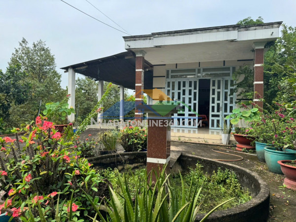 Trảng bàng-tây ninh ngộp giảm 2 tỷ còn 2 tỷ 990tr dt 3555m2 sẵn...