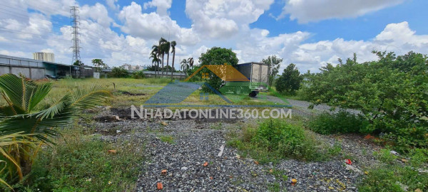 Cần bán 7160m2 đất cln- xuân thới sơn- hóc môn-dòng tiền 55tr/th chỉ 48 tỷ