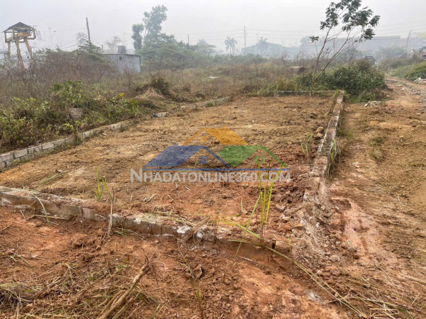 Cần tiền, giá nào cũng bán - bán 70,9m đất dịch vụ tiên phương - quy hoặch ra mặt đường 6