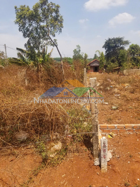 Bán nền đất ở + trồng cây lâu năm đã sổ đỏ riêng tại xã ea kueh, huyện cư m'gar, tỉnh daklak