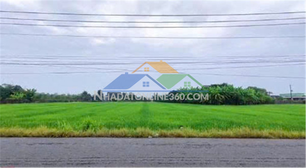 Đất chính chủ - 2 lô mặt tiền đường dt827b xã phước tân hưng, châu thành, long an