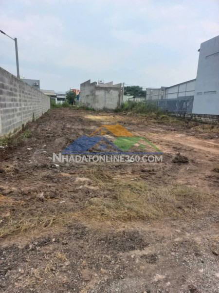 Bán lô đất đường bê tông khu cây quéo long điền cách quốc lộ 55 khoảng 150m