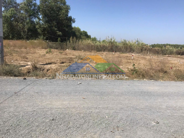 Chủ bán 1 sào đất vườn đang trồng sầu riêng với chè xanh...