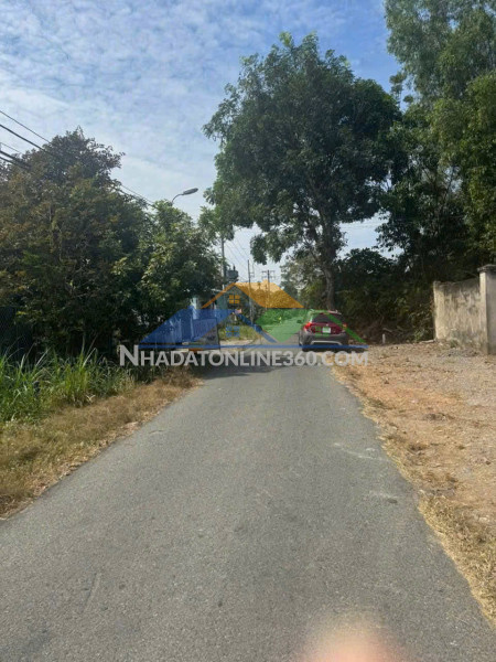 Đất mt đường 489 phạm văn cội, củ chi - ngang 25m – nở hậu 1.372m²