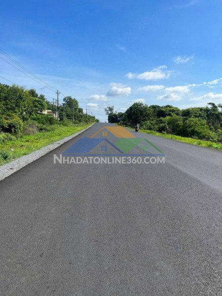 Đất đẹp – giá tốt  – chính chủ cần bán tại mặt tiền tỉnh lộ 1, ea nuôl, buôn đôn, đắk lắk