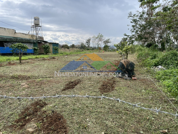 Biệt thự cần cho thuê tại phú gia, phú mỹ hưng, tân phong,...