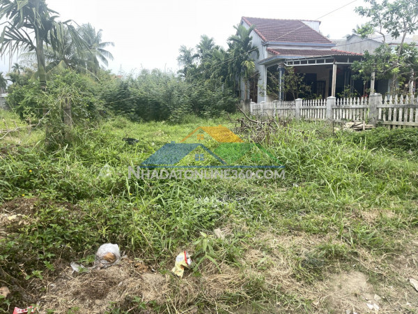 Bán đất kiệt nguyễn tri phương 519,3m2 full thổ cư, cách 10m ra đường chính, giá 6.9 tỷ