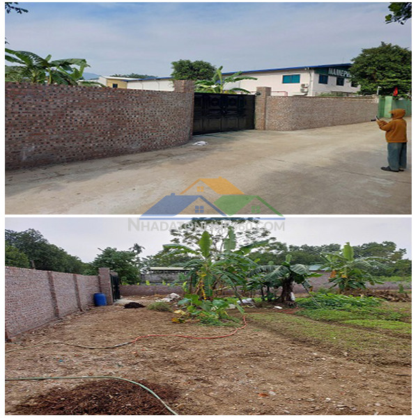 Giá tốt: cho thuê đất dt: 1.438,7m2 đường rộng 6m tại xã đông...