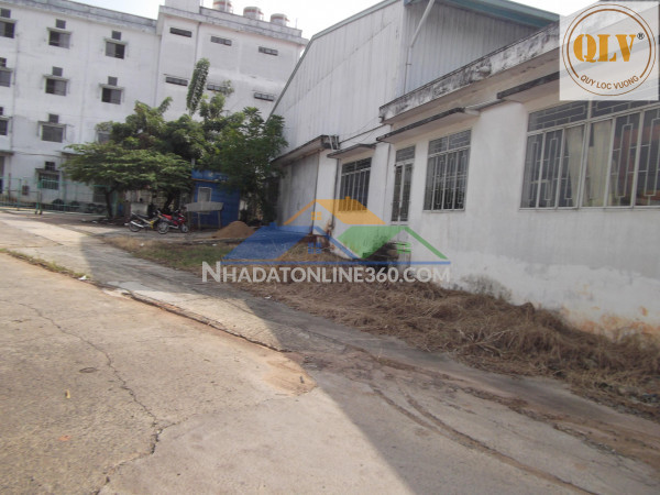 Cho thuê kho, nhà xưởng tại Phường Hiệp Thành, Thành phố Thủ...