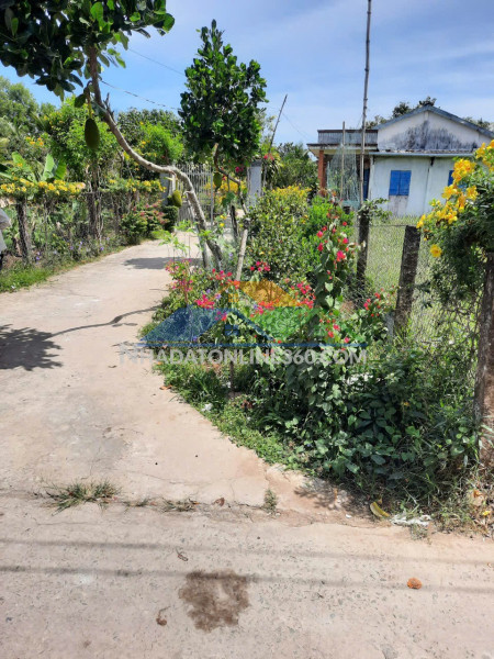 Đất đẹp – giá tốt  – chính chủ cần bán tại đường đoàn nguyễn tuấn, xã hưng long, bình chánh