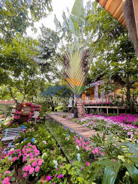 Cho thuê villa sân vườn 700m2 đèo prenn đà lạt giá thuê 26 triệu